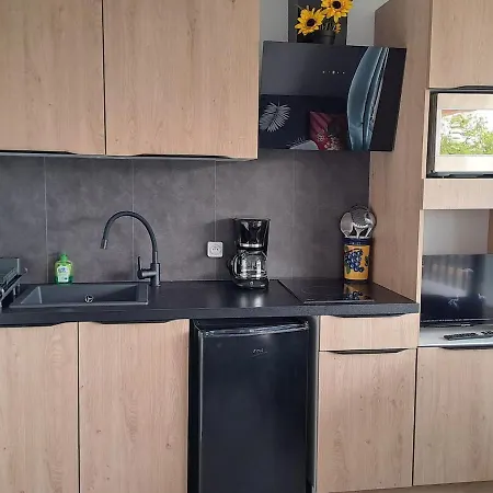 Renove Avec Piscine Et Acces Direct *